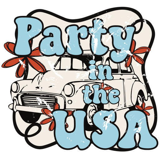 Party In The USA